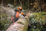 stihl ms 500i w, rs, lunghezza di taglio 50cm