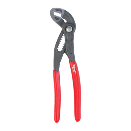 milwauke pinze a pappagallo