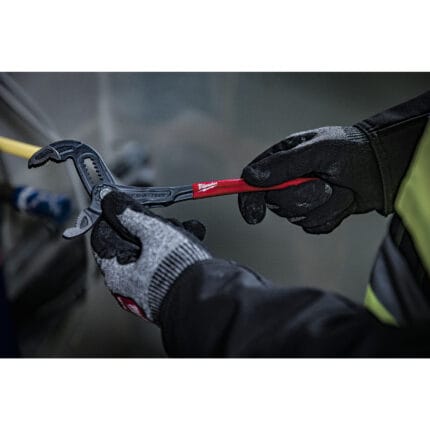 milwauke pinze a pappagallo