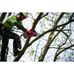 milwaukee elettrosega da potatura m18 fuel™ da 20 cm