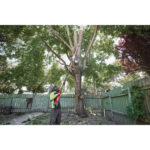 milwaukee potatore ad asta telescopico m18 fuel™ 30 cm