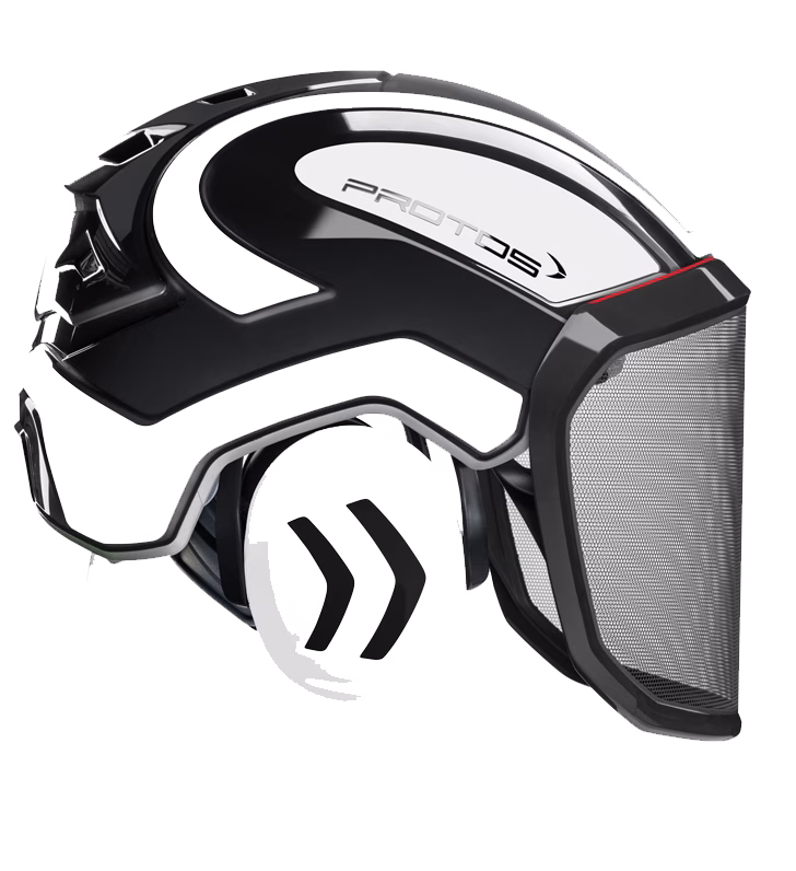 casco 6