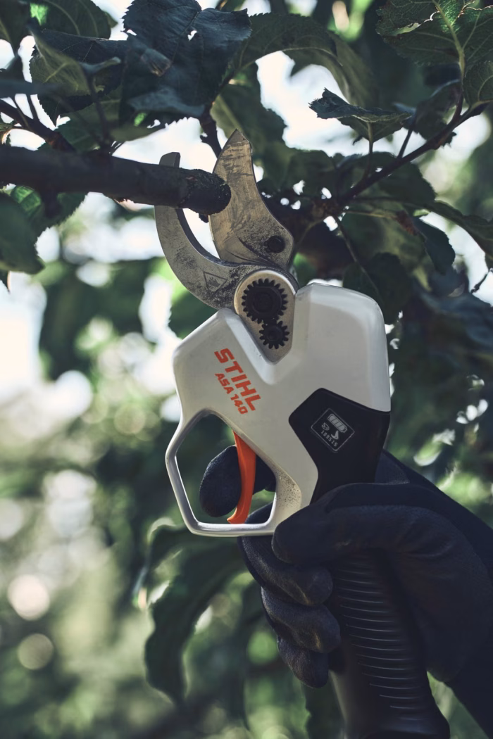 stihl asa 140 ap system battery-powered pruner
