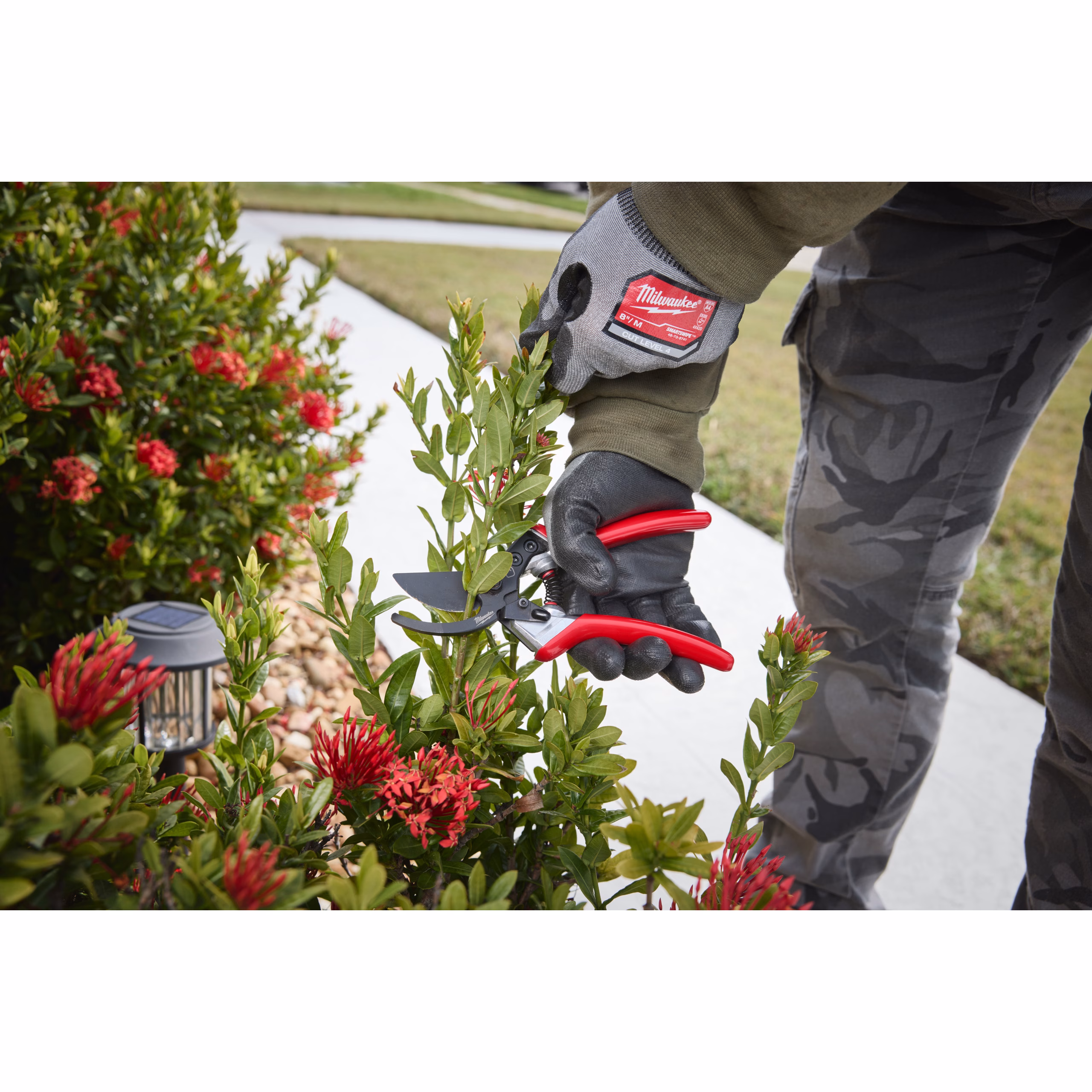 milwaukee cesoie da potatura bypass milwaukee cesoie da potatura bypass