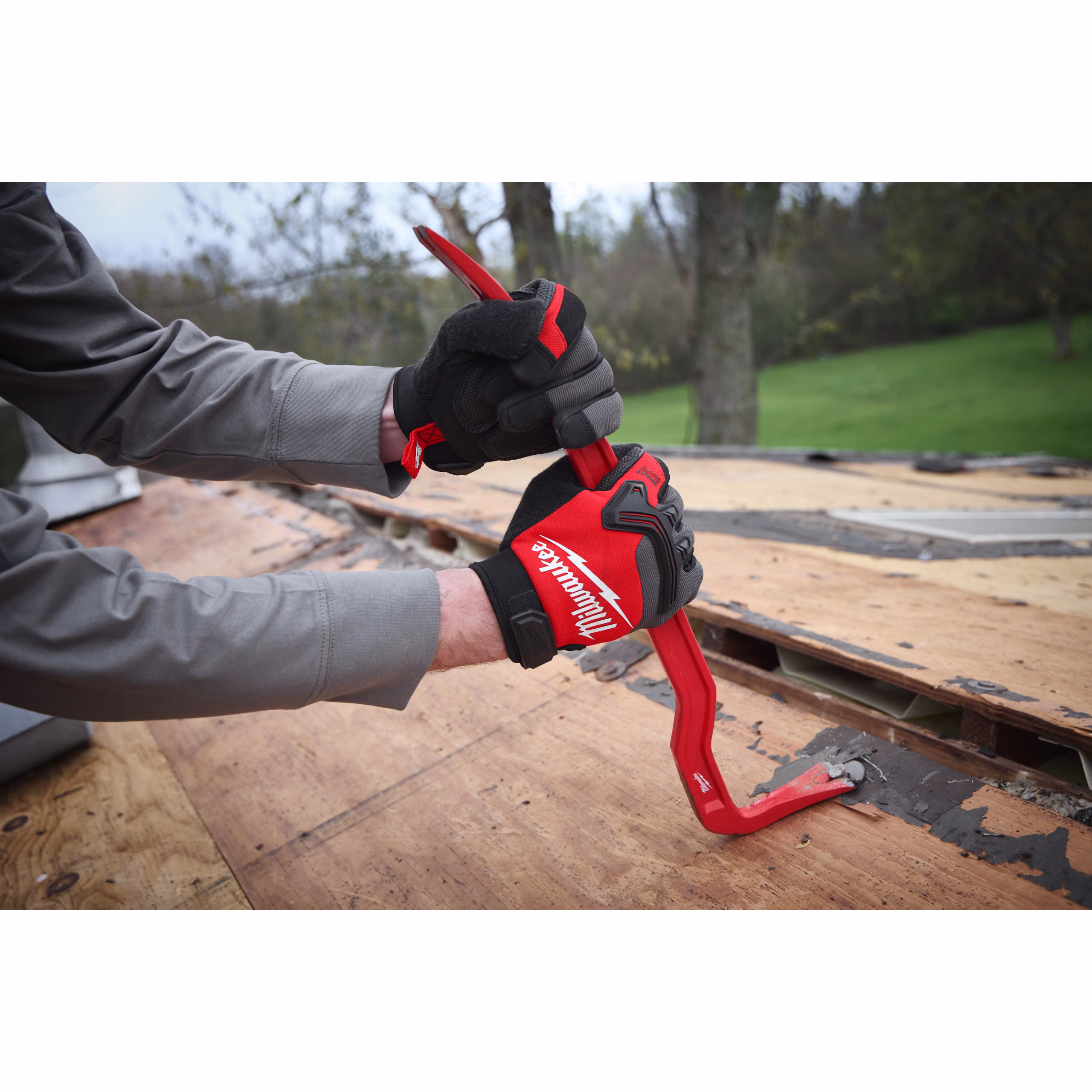 milwaukee palanchino milwaukee palanchino