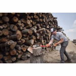 milwaukee mazza scure