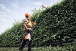 stihl hla 150 b système ap taille-haie