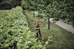 stihl hla 150 b système ap taille-haie