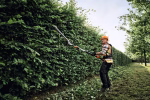stihl hla 150 b système ap taille-haie