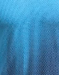 immagine 2026 03 31 093428