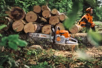 stihl ms 300 c m 40 cm petrol chainsaw
