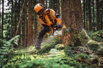 stihl ms 300 c m vw 45 cm, 23rs pro petrol chainsaw