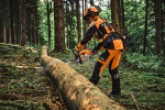 stihl ms 300 c m vw 45 cm, 23rs pro petrol chainsaw