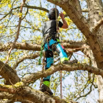 at4062eu arbortec vented chainsaw trousers design a class 1 aqua multi 2224932