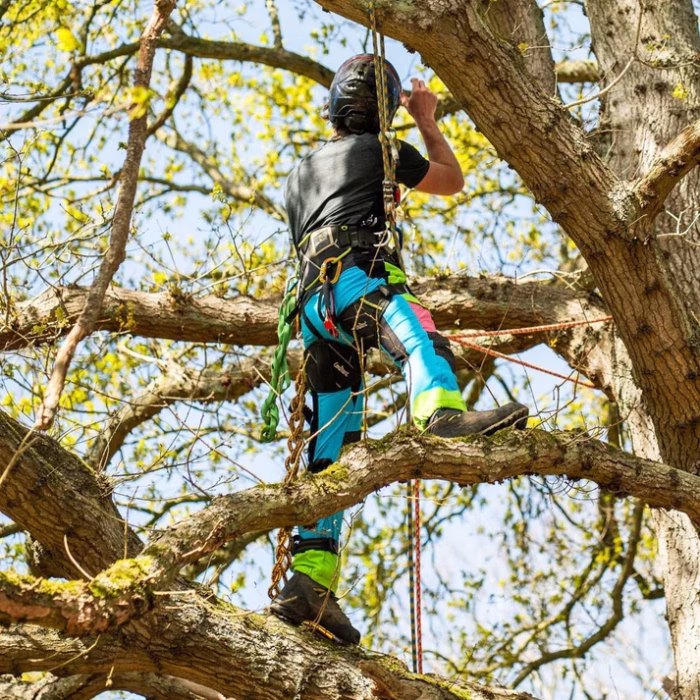 at4062eu arbortec vented chainsaw trousers design a class 1 aqua multi 2224932
