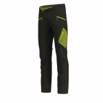 crazy pant resolution forest