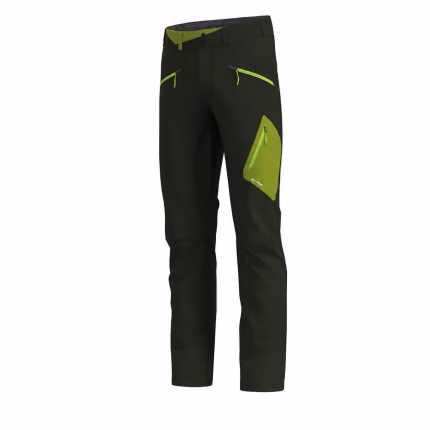 crazy pant resolution forest