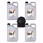 stihl msa 220 c b 35 cm “centennial” 2 catene di scorta, 1 litri olio catena e 2 batteria ap 300 s