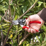 felco 8
