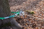 nordforest verricello 1200